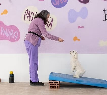 734b10_4ffad9a53feb46d1b906d8dbb88160da_mv2 Clinica veterinaria en Murcia preguntas frecuentes