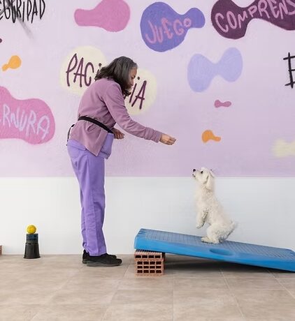 734b10_4ffad9a53feb46d1b906d8dbb88160da_mv2 Clinica veterinaria en Murcia preguntas frecuentes